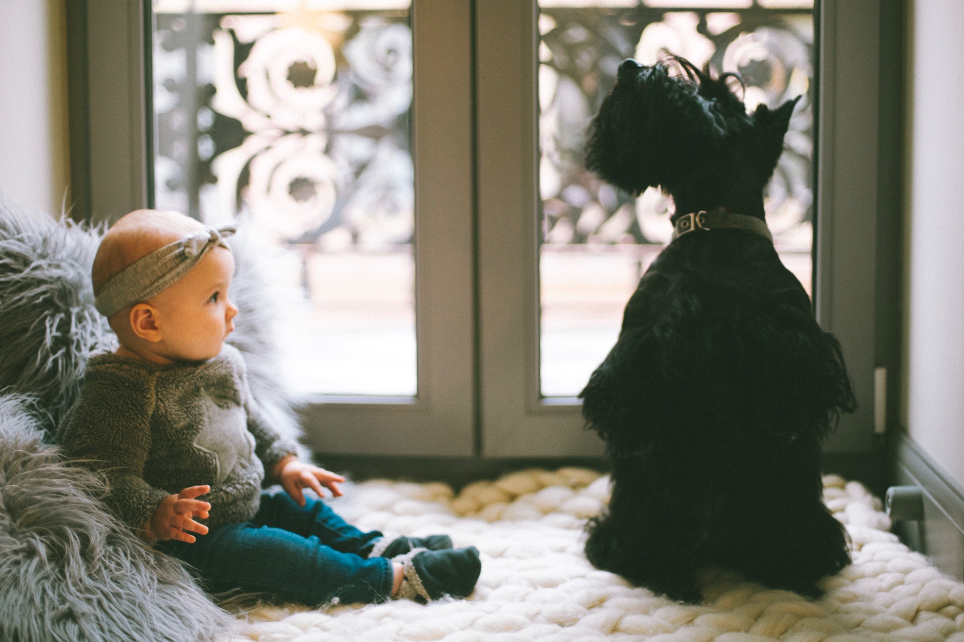 Pets and Babies: Adjusting Your Pet to Your New Baby